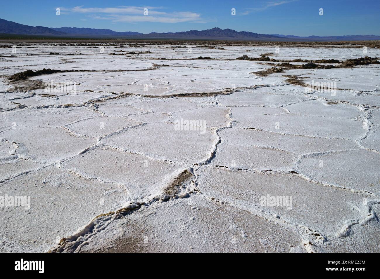 Vista del deserto di sale di campo con cristallizzato sale secco le formazioni e le montagne sullo sfondo Foto Stock