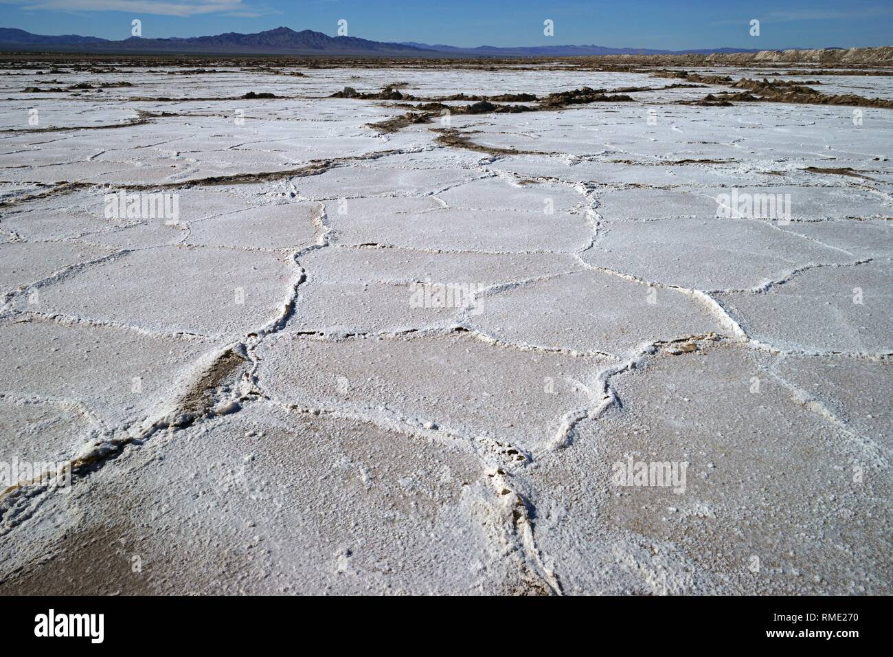 Vista del deserto di sale di campo con cristallizzato sale secco le formazioni e le montagne sullo sfondo Foto Stock