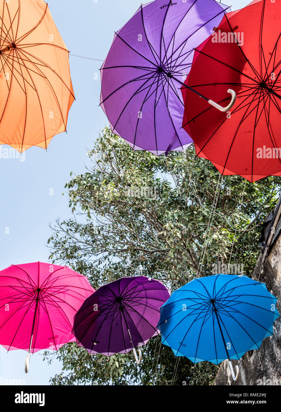 La Strada di ombrelli Getsemani Cratagena Colombia Sud America Foto Stock