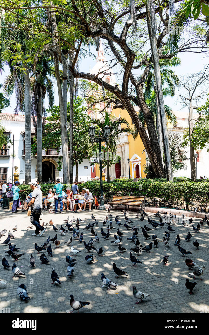 Plaza de Bolivar Gardens Cartagena Colombia Sud America Foto Stock
