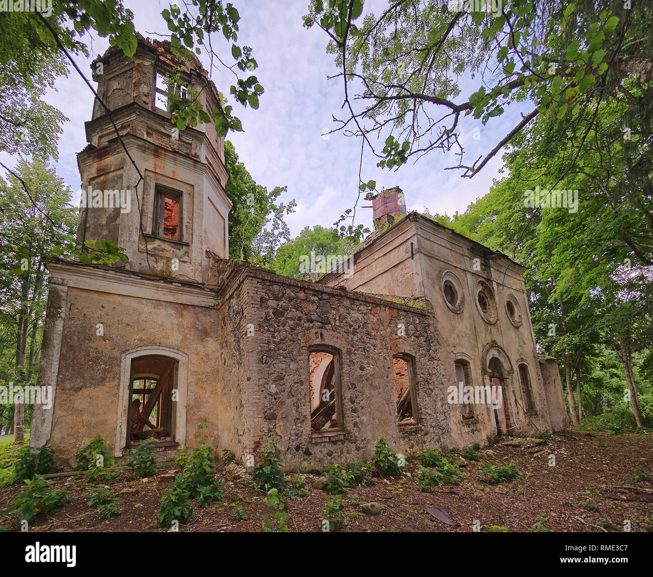 Vecchio abbandonato la Chiesa di San Nicola ruderi in Estonia. Il lussureggiante fogliame degli alberi e foreste che coprono la bellezza di questo antico edificio rovinato. Foto Stock