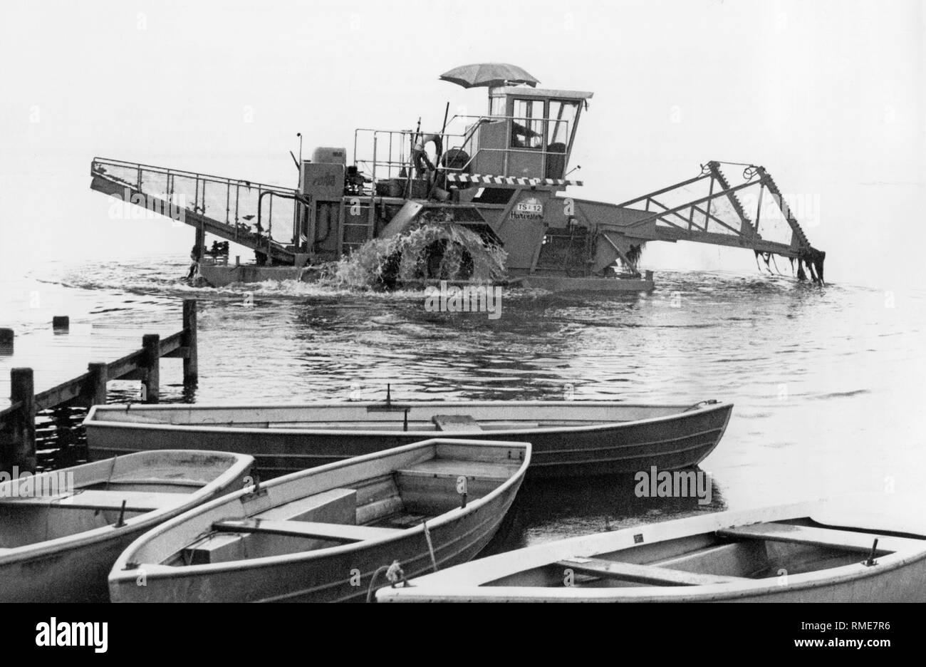 La falciatrice subacquea 'Seekuh' rimuove liane dal fondo del lago Chiemsee. Liane possono essere un pericolo per i bagnanti, che è il motivo per cui essi vengono rimossi dall'acqua management office a intervalli regolari. Foto Stock