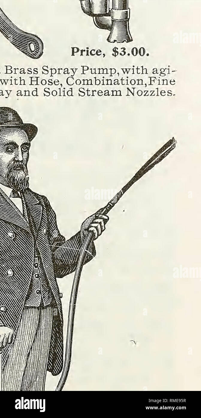 . Catalogo annuale. Vivai (orticoltura); vivaio; Verdure; semi; fiori; GIARDINAGGIO; attrezzature e forniture; attrezzi agricoli; Ebeling, F. H. (Azienda). Miglioramento U, S. crema con separatore racchiusi ingranaggio. A PREZZI SPECIALI Registratori di stagione. Diamo i nomi di alcuni che utilizzano il celebre U. S. Scrematrici e sono lieta di vedere uno qualsiasi di essi per riferimento. Questo è meglio di qualsiasi altra cosa si potrebbe dire per il separatore: Grove P. Smith, Baldwinsville. F. C. Arpa, cotoni. H. E. Dow, Belle Isle. Giosia Betts, Siracusa. Yates Hotel su Geddes Farm. D. E. Olmstead, Siracusa. W. Foto Stock