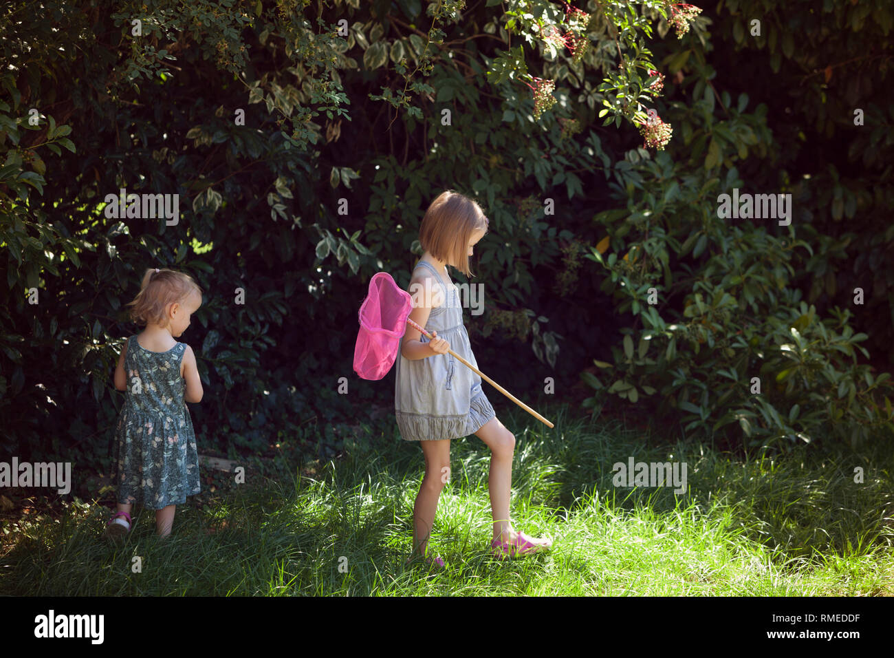Due bambini a caccia di farfalle in una iarda posteriore Foto Stock