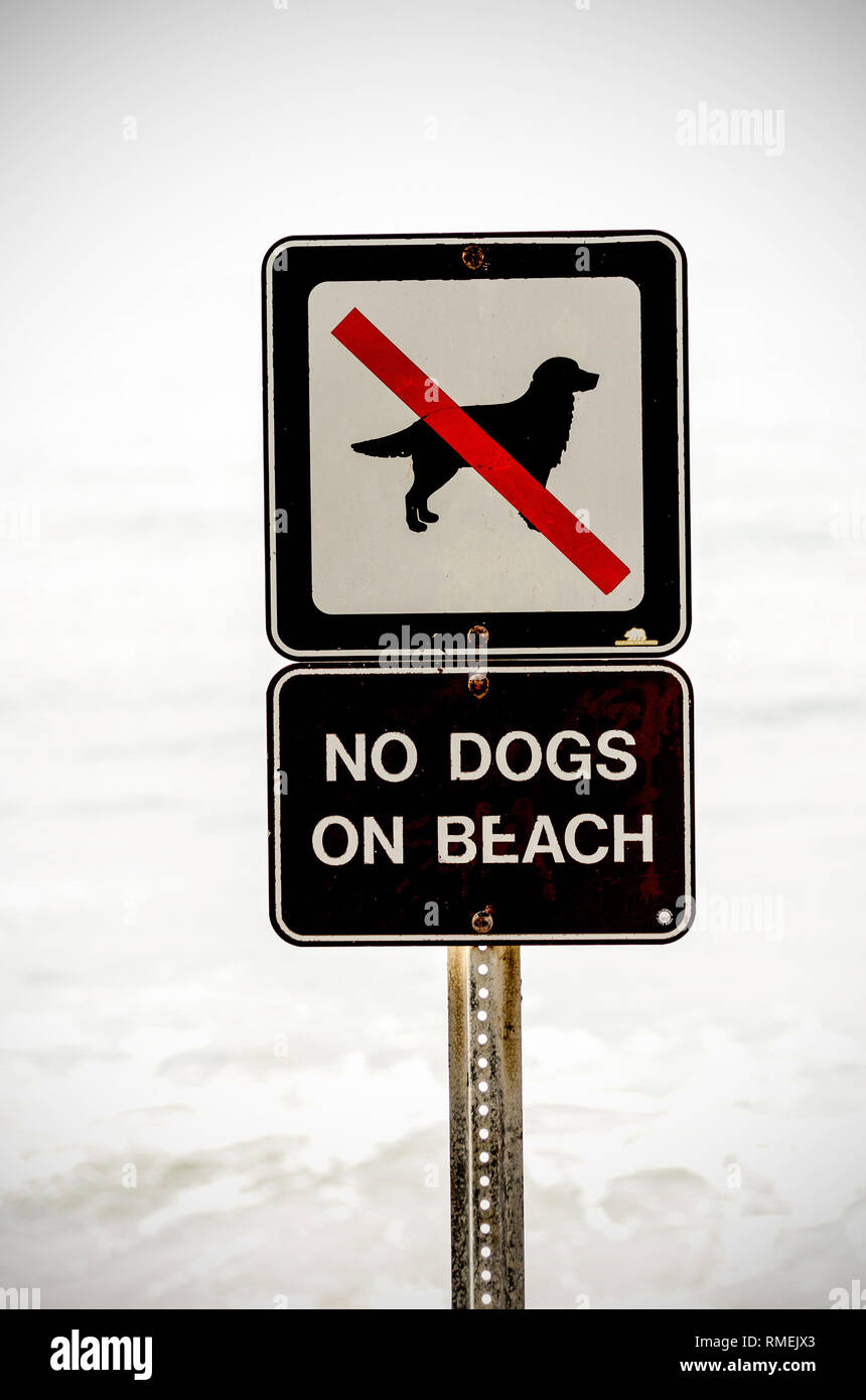 No cani sulla spiaggia di segno. Foto Stock