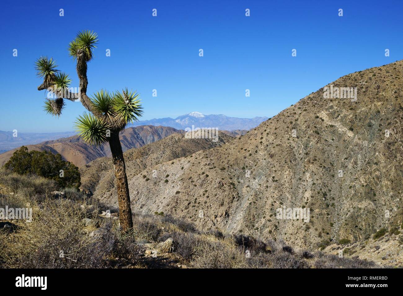 Quaglia Mountain top vista dalla vista tasti si affacciano a Joshua Tree National Park, STATI UNITI D'AMERICA Foto Stock