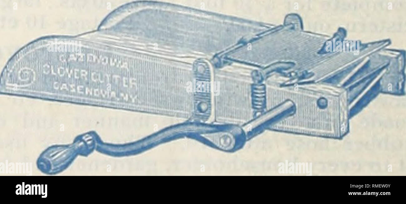 . Catalogo annuale : semi, lampadine, piante, attrezzi, ecc Seme dell industria e del commercio; semi, cataloghi. 56. Si prega di notare che queste immagini vengono estratte dalla pagina sottoposta a scansione di immagini che possono essere state migliorate digitalmente per la leggibilità - Colorazione e aspetto di queste illustrazioni potrebbero non perfettamente assomigliano al lavoro originale. J. Chas. McCullough società sementiera; Henry G. vivaio di Gilbert e il commercio di sementi Catalogo Collezione. Cincinnati : McCullough Foto Stock