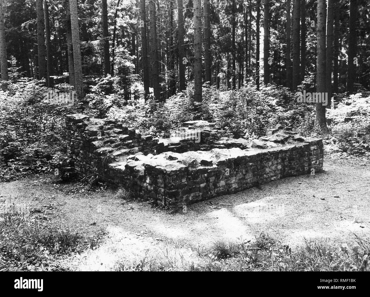 Le rovine di una torre di avvistamento romana al Superiore Limes germanico nella foresta Welzheim. Foto Stock