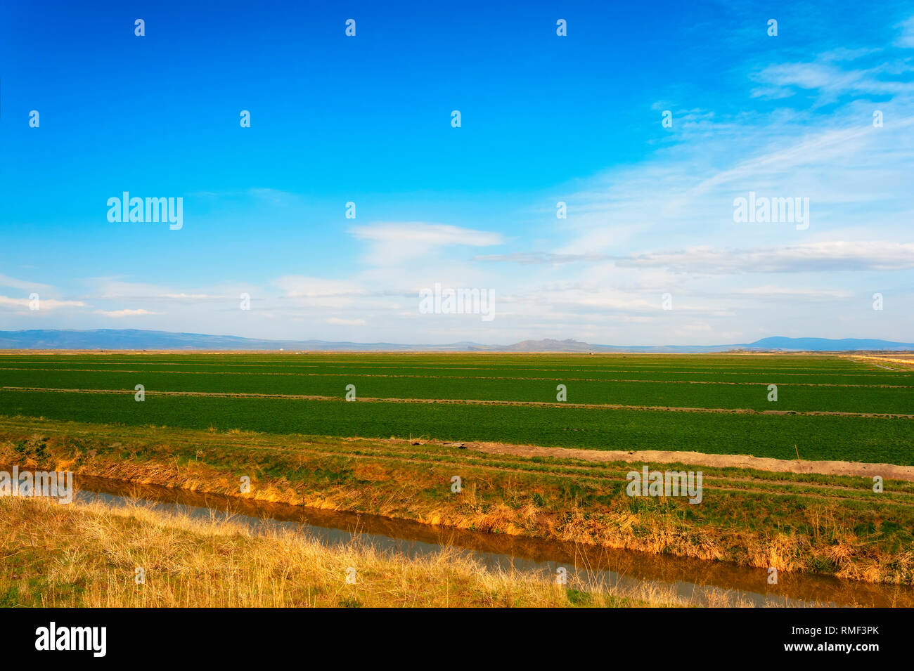 "Le Locazioni' federale azienda agricola terra dove gli agricoltori locali possono affittare terreni di fattoria in Modoc County, Tulelake, California Foto Stock