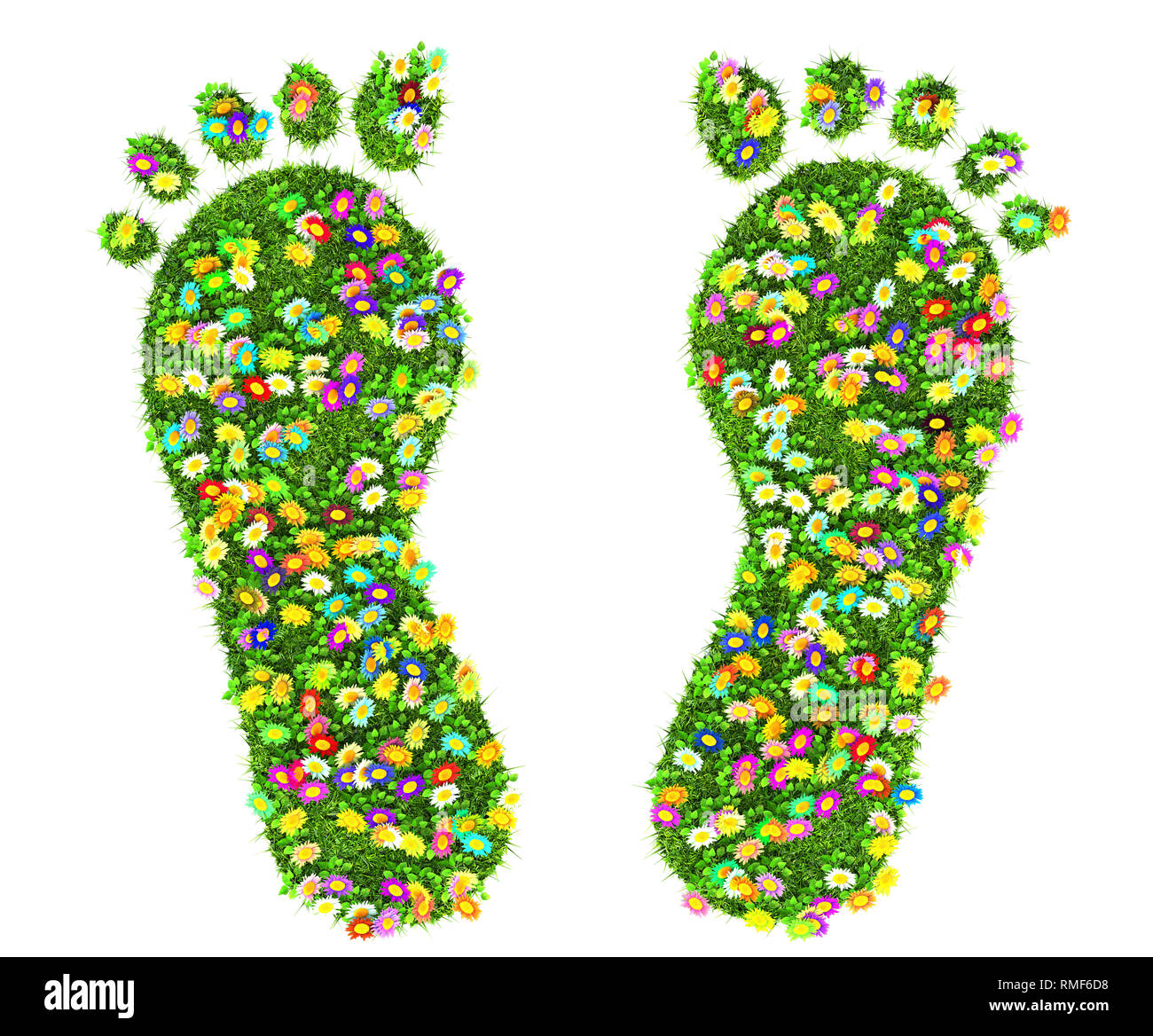 Piede stampa fatta di erba verde e fiori isolati Foto Stock