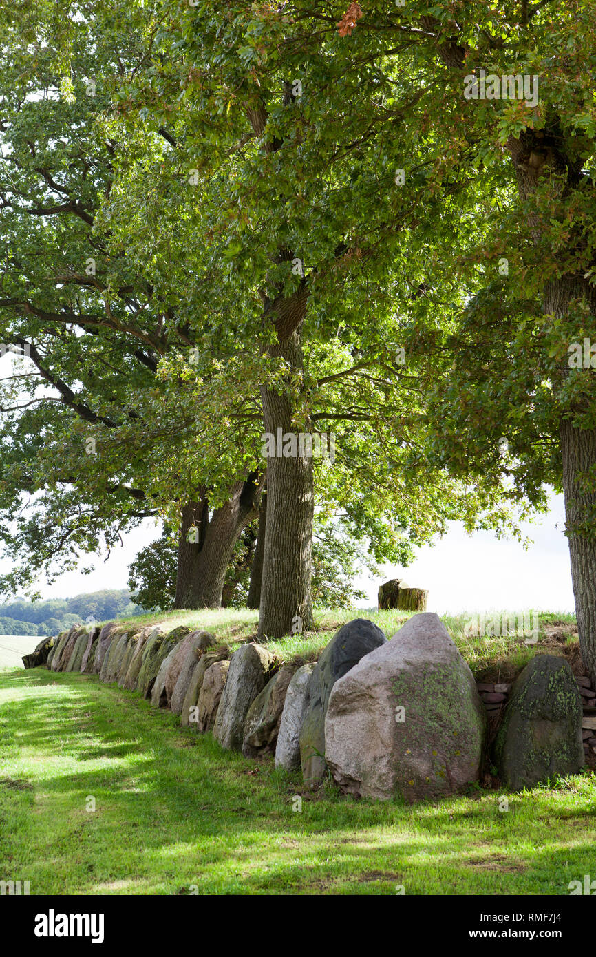 Tomba megalitica, Schleswig-Holstein, Germania, Europa Foto Stock
