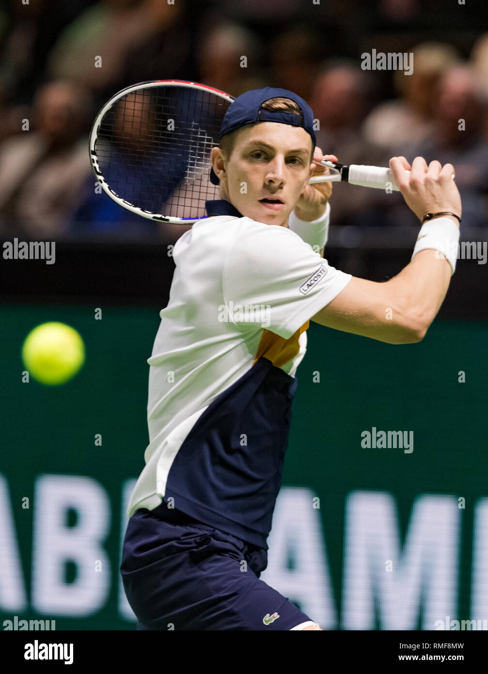 Rotterdam, Paesi Bassi.14 Feb 2019. ABNAMRO World Tennis Tournament Ahoy, Griekspoor Tallon (NED), Credit: Henk Koster/Alamy Live News Foto Stock