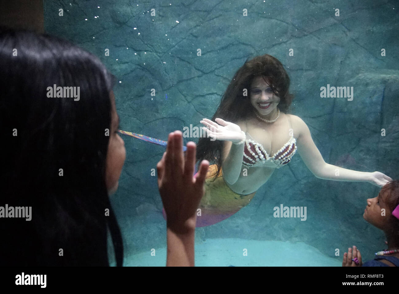 Sao Paulo, Brasile. 14 feb 2019.MERMAID IN ACQUARIO SP- Sereia encanta adultos e crianças no AquÃ¡rio de SÃ£o Paulo em 14 de fevereiro de 2019. Credito: Cris Faga/ZUMA filo/Alamy Live News Foto Stock