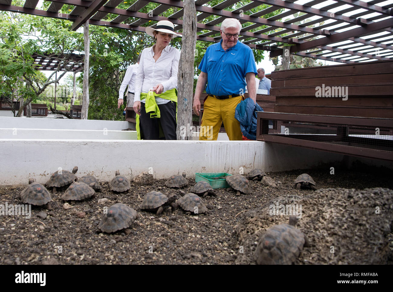 Isole Galapagos, Ecuador. Xiv Feb, 2019. Il Presidente federale Frank-Walter Steinmeier e sua moglie Elke Büdenbender visitare la tartaruga stazione di allevamento del parco nazionale sull'isola di Santa Cruz. Il Presidente federale Steinmeier e sua moglie sono in visita in Colombia ed Ecuador in occasione di Alexander von Humboldt's 250° compleanno come parte di una cinque giorni di viaggio in America Latina. Credito: Bernd von Jutrczenka/dpa/Alamy Live News Foto Stock