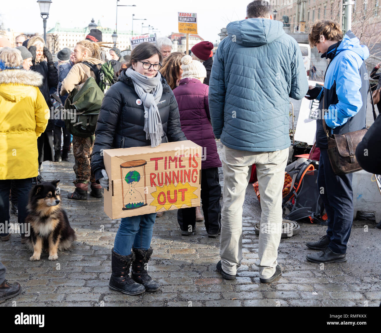 Stoccolma, Svezia. Il 15 febbraio, 2019. Il clima di supporto attivista16-anno-vecchio svedese Thunberg Greta chi protesta al di fuori del parlamento svedese House (Riksdagshuset) richiedono sempre più la protezione del clima. Credito: Per Grunditz/Alamy Live News Foto Stock