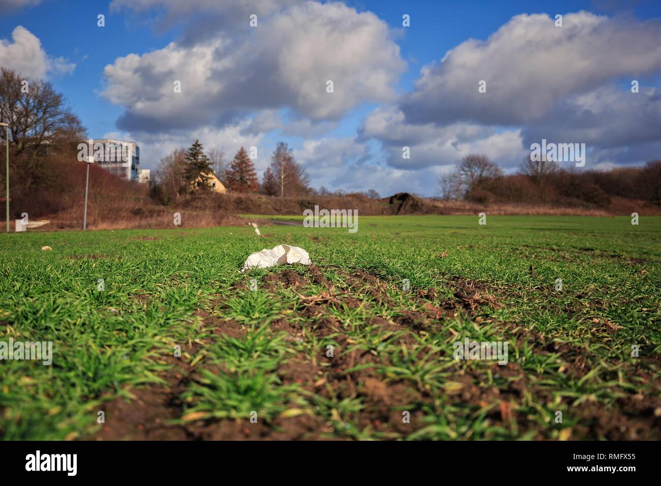 Inquinamento di plastica su un acro con colture di frumento Foto Stock