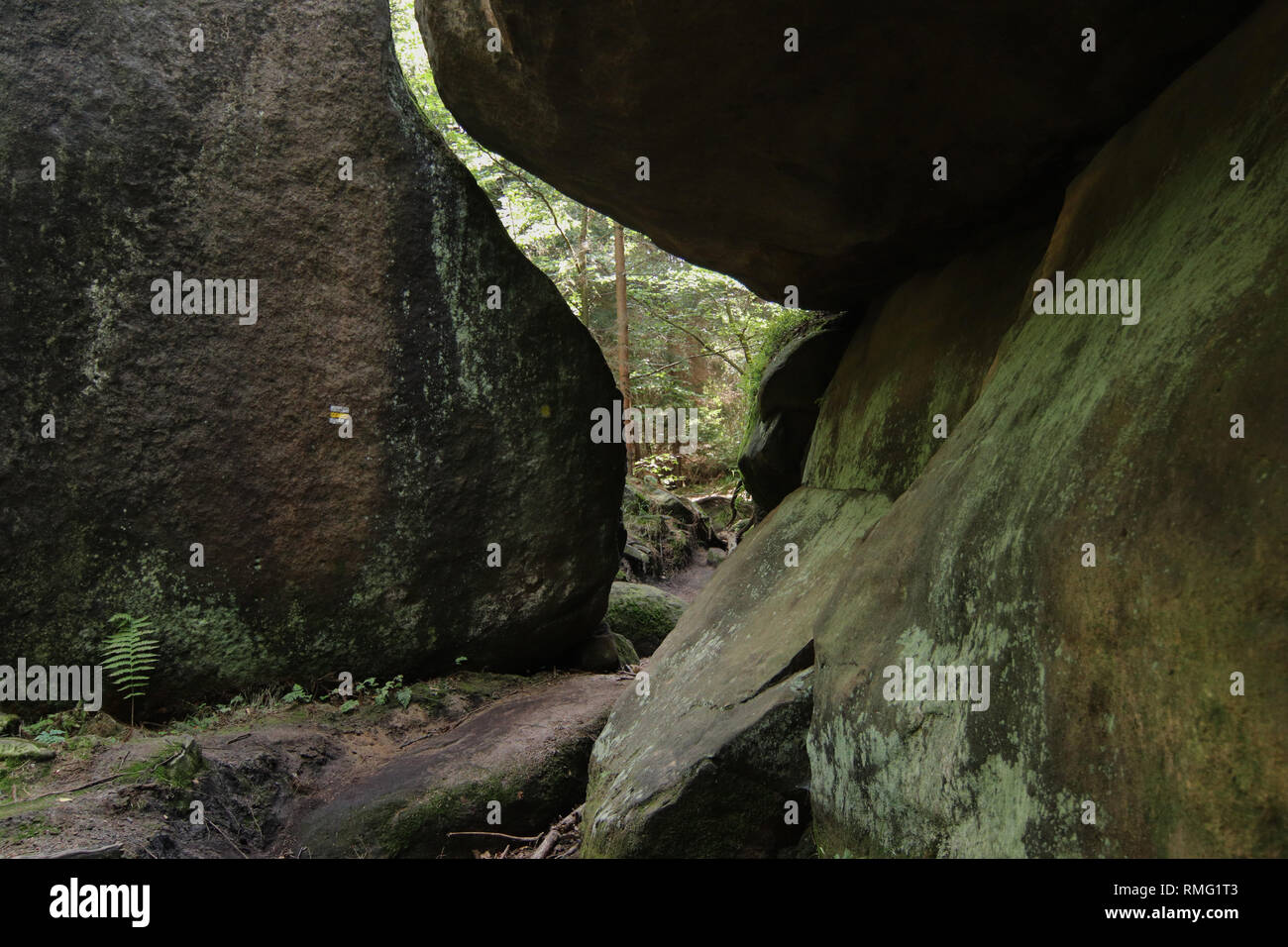 Sentiero escursionistico nella Riserva Naturale di Broumov pareti, PLA Broumovsko, Repubblica Ceca Foto Stock