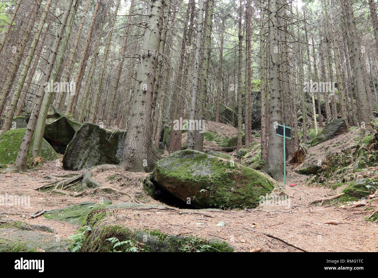 Sentiero escursionistico nella Riserva Naturale di Broumov pareti, PLA Broumovsko, Repubblica Ceca Foto Stock