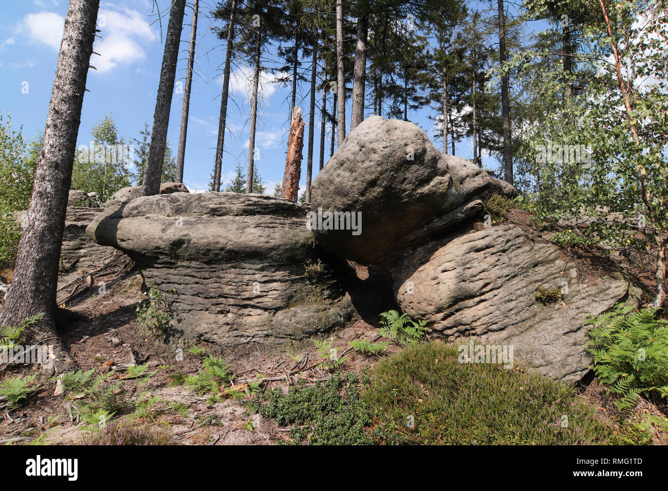 Bizzarre formazioni rocciose, Broumov pareti, PLA Broumovsko, Repubblica Ceca Foto Stock