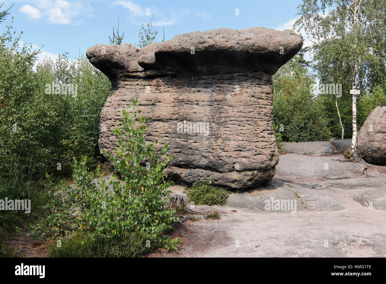 Funghi di pietra - formazioni rocciose bizzarre, Broumov pareti, PLA Broumovsko, Repubblica Ceca Foto Stock