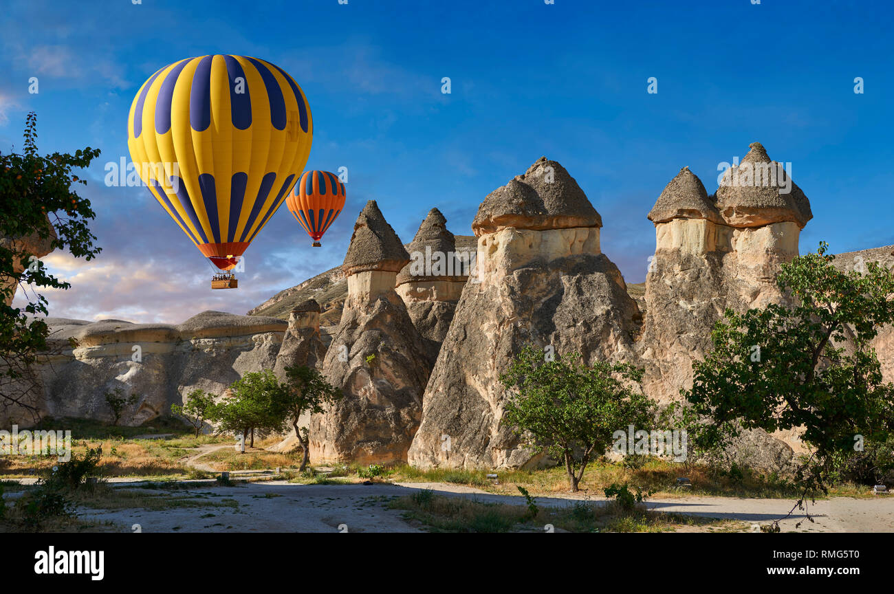 Foto e immagini di mongolfiere sopra il camino fata formazioni rocciose e pilastri di roccia di "Pasaba Valle" nei pressi di Goreme, Cappadocia, Nevsehir, Tu Foto Stock