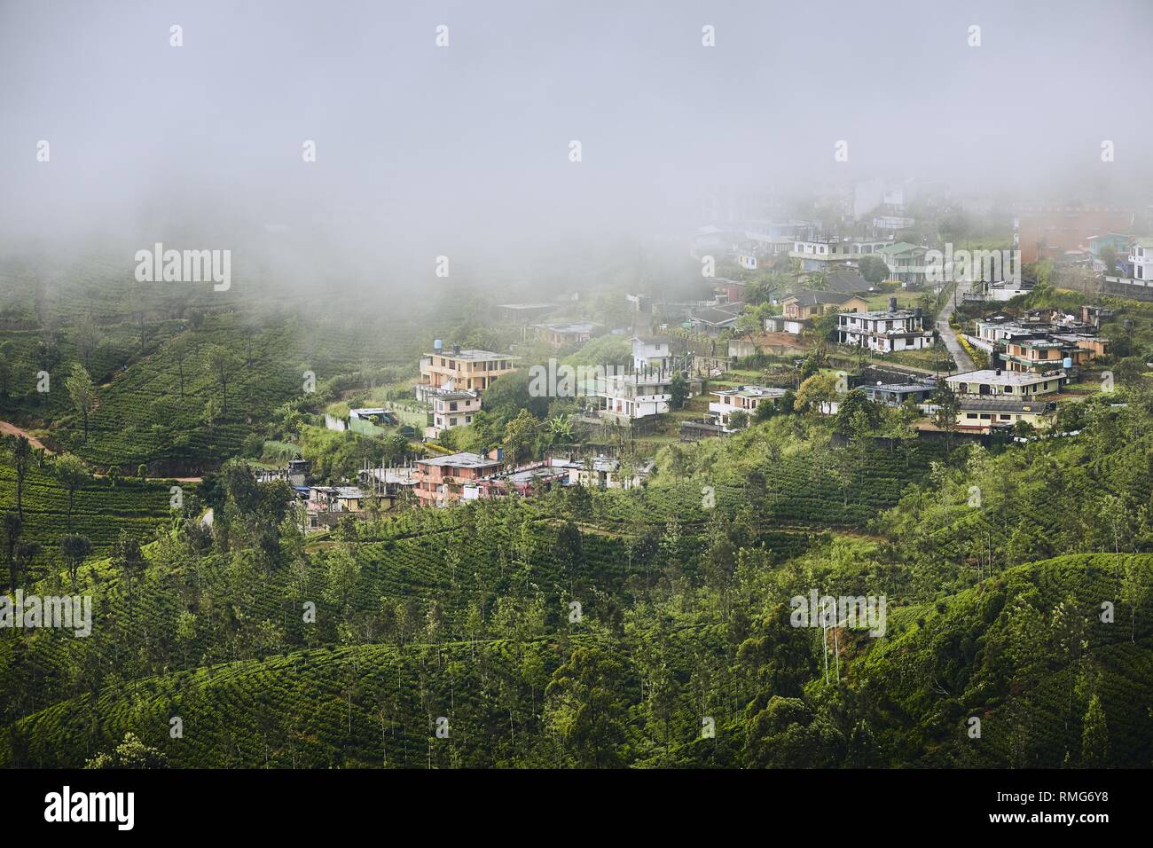 Città Haputale con piantagioni di tè in nubi. Paesaggio agricolo in Sri Lanka. Foto Stock Città Haputale con piantagioni di tè in nubi. Paesaggio agricolo in Sri Lanka. Foto Stock