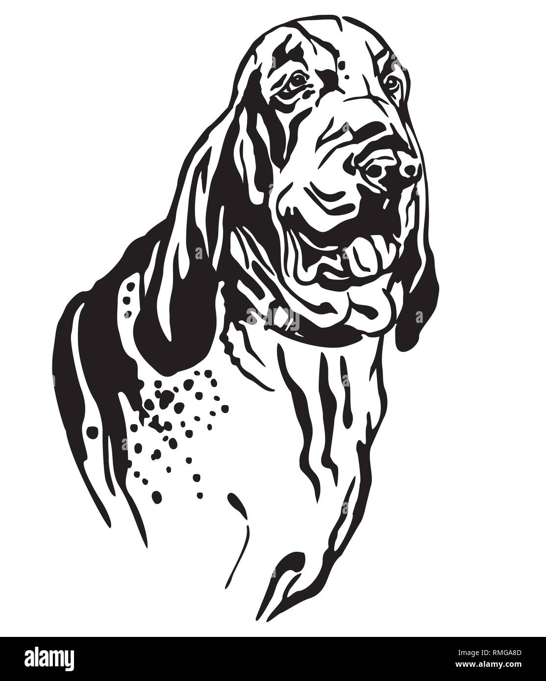Profilo decorativo ritratto di cane Bracco Italiano, illustrazione vettoriale in colore nero isolato su sfondo bianco. Immagine per design e tatuaggio. Illustrazione Vettoriale