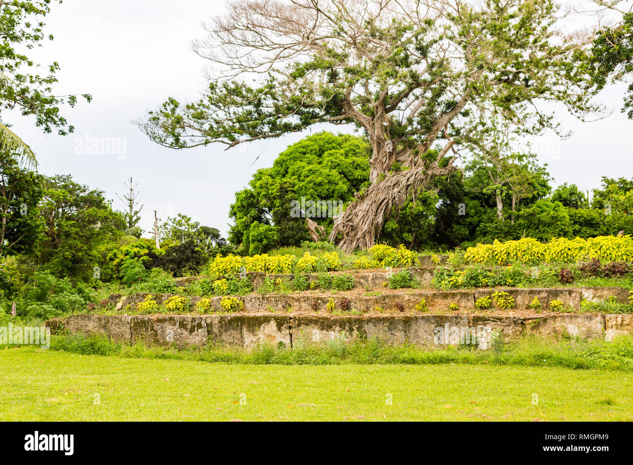 Antica ziggurat Langi - Royal sepoltura tomba - Lapaha, Mu'a, isola di Tongatapu, Tonga, Polinesia, Oceania. Volta in Pietra, piramide a gradini, megaliti. Foto Stock