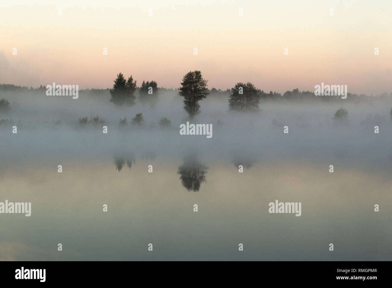 Supporto alberi nella nebbia mattutina sul greto del fiume Foto Stock