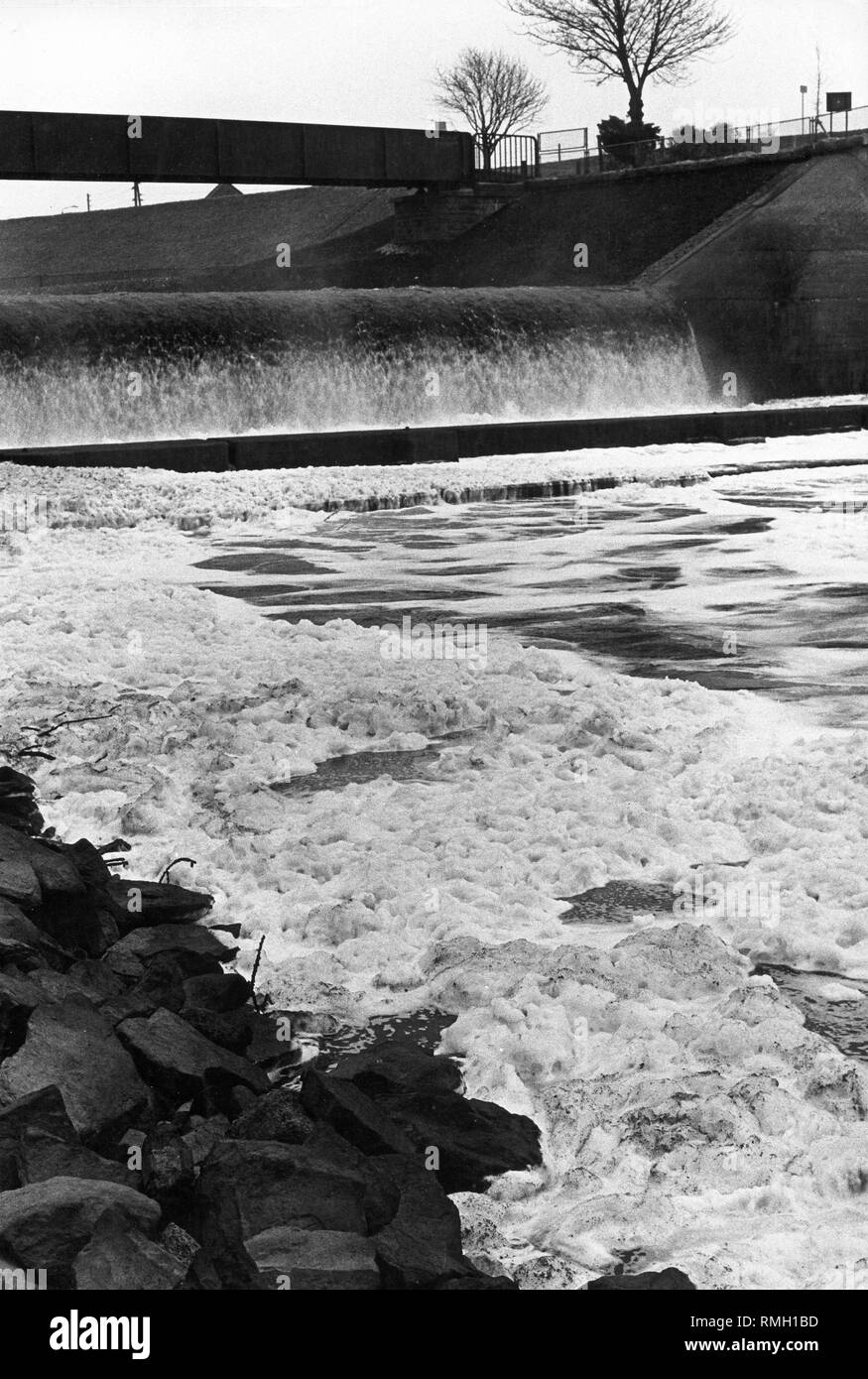 Schiuma sulla riva del fiume in corrispondenza della bocca dell'Emscher. Foto Stock