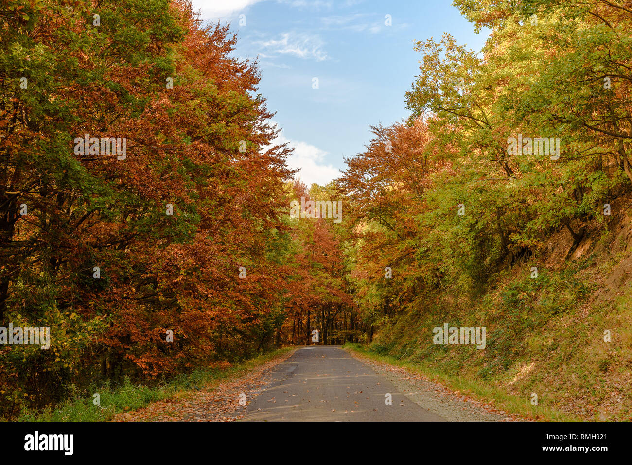 Una strada tortuosa sotto alberi colori mutevoli in autunno in montagna Börzsöny di Ungheria Foto Stock