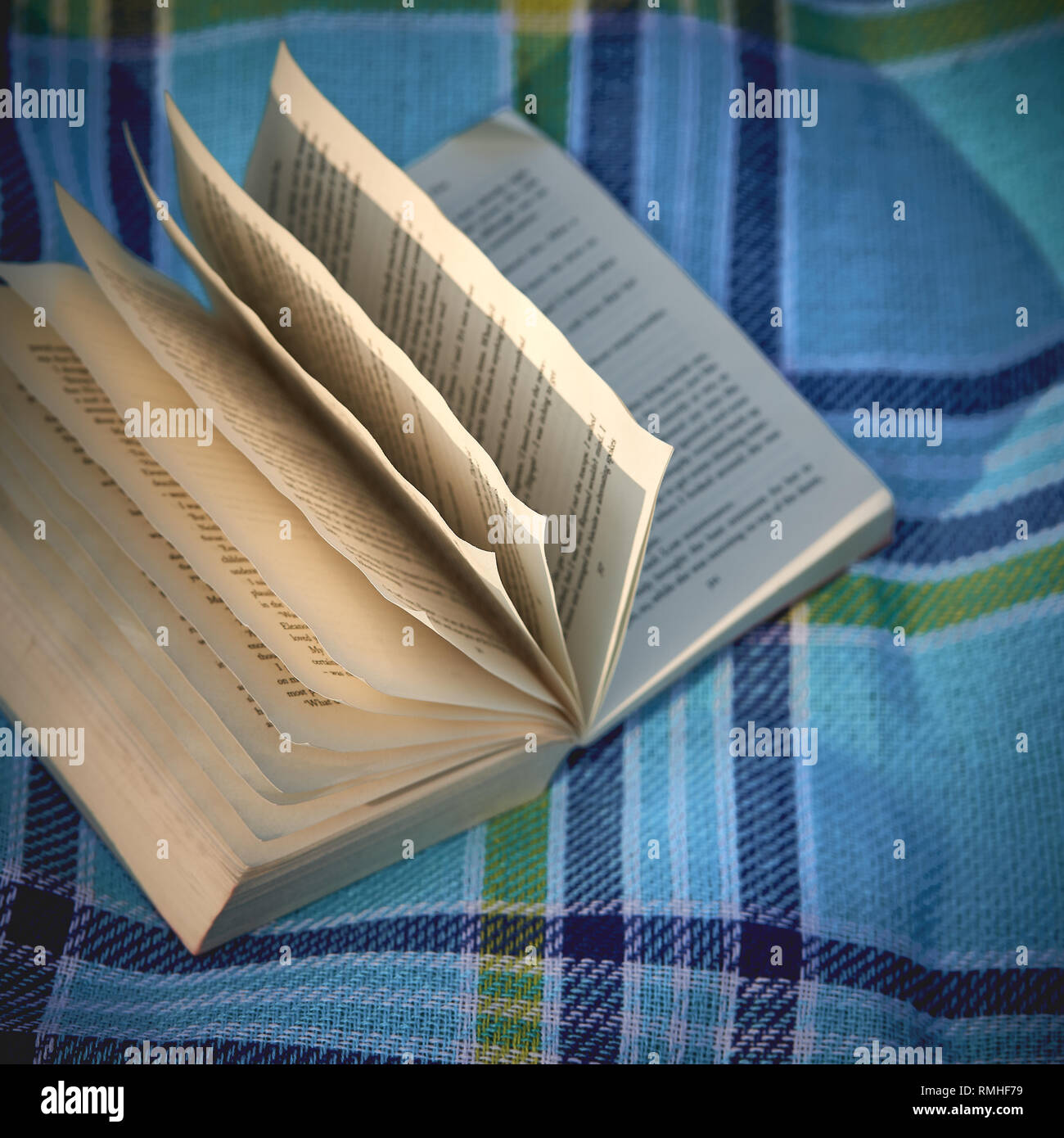 London, Regno Unito - Giugno, 2018. Un libro aperto su un blu a scacchi e coperta di verde in un parco a sud-est di Londra. Foto Stock