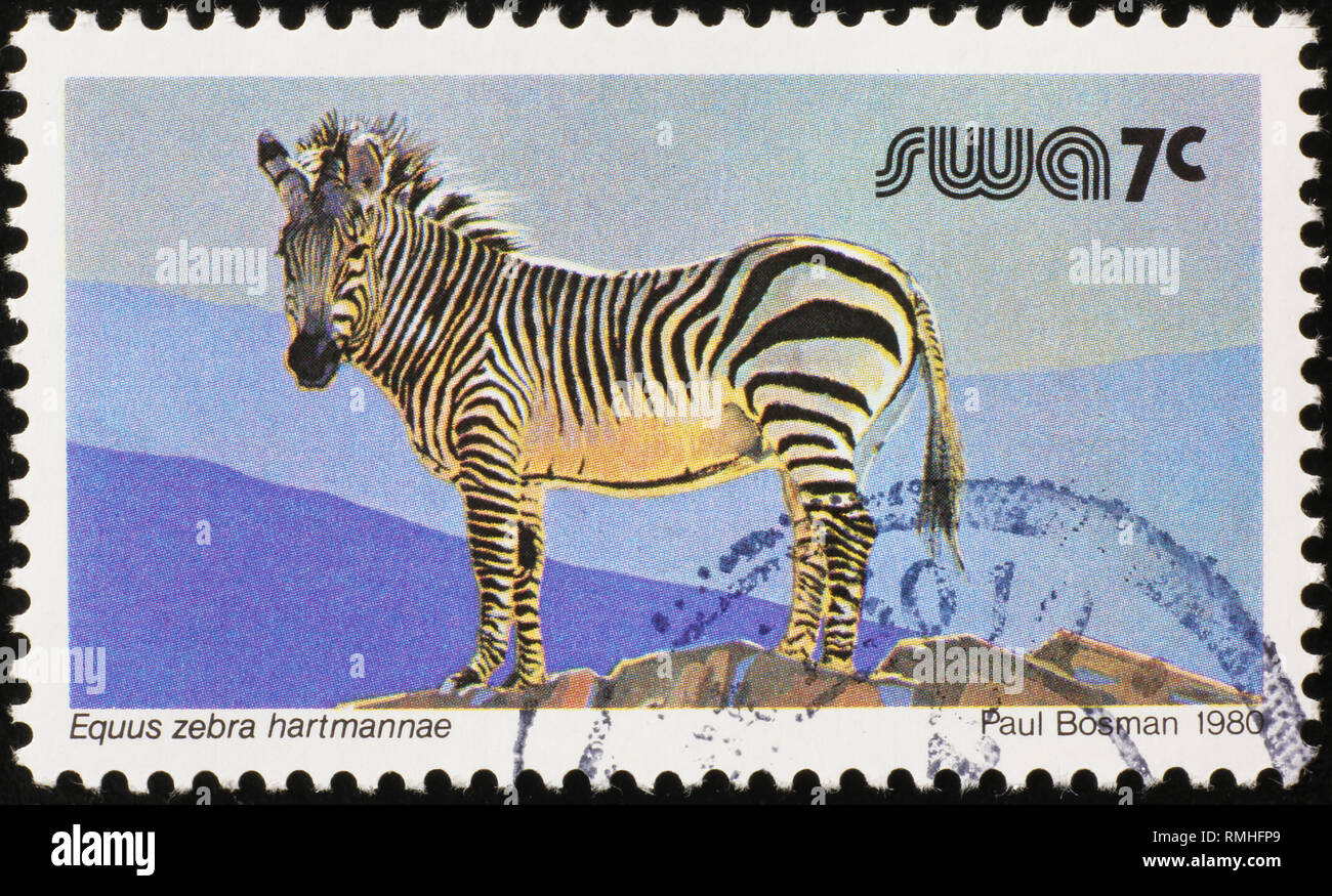 Immagine della zebra sull sout timbro africana Foto Stock