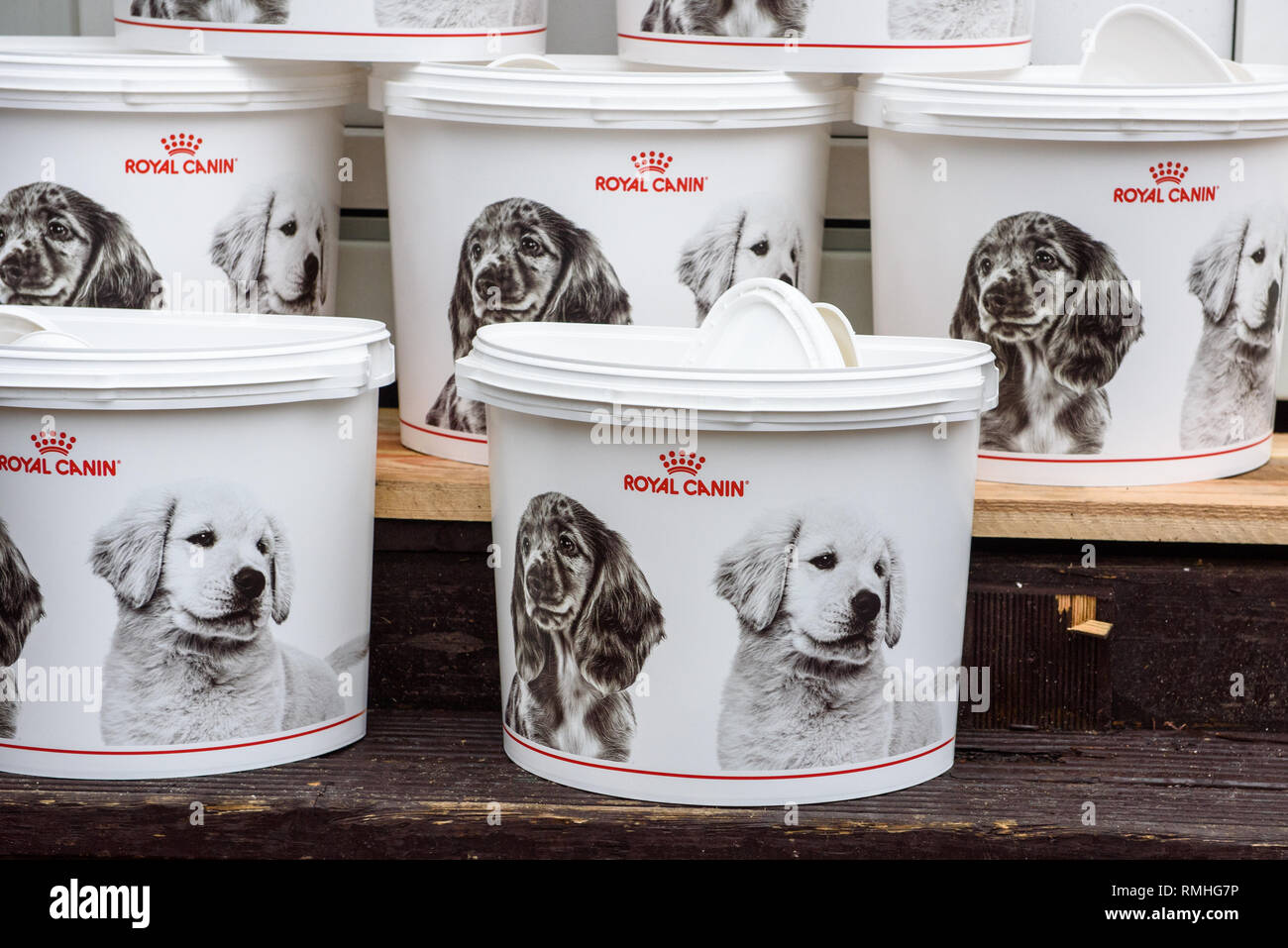 09.12.2018. RIGA, Lettonia. Secchielli in plastica di Royal Canin cane marca del cibo. Foto Stock
