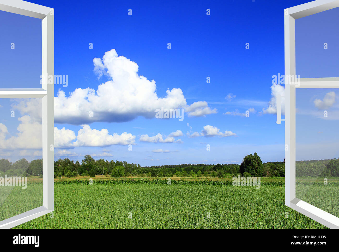 Finestra aperta al campo estivo. Vista rurale. Panorama dalla finestra aperta. Natura dietro la finestra Foto Stock