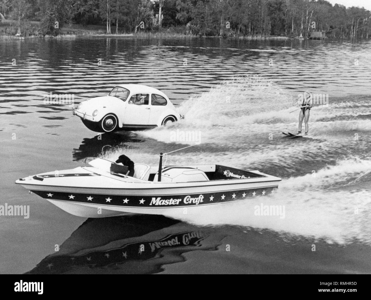 Un Labrador addestrato aziona una barca tirando uno sciatore di acqua. Il team viene superato da un flottabile VW Beetle. Foto Stock