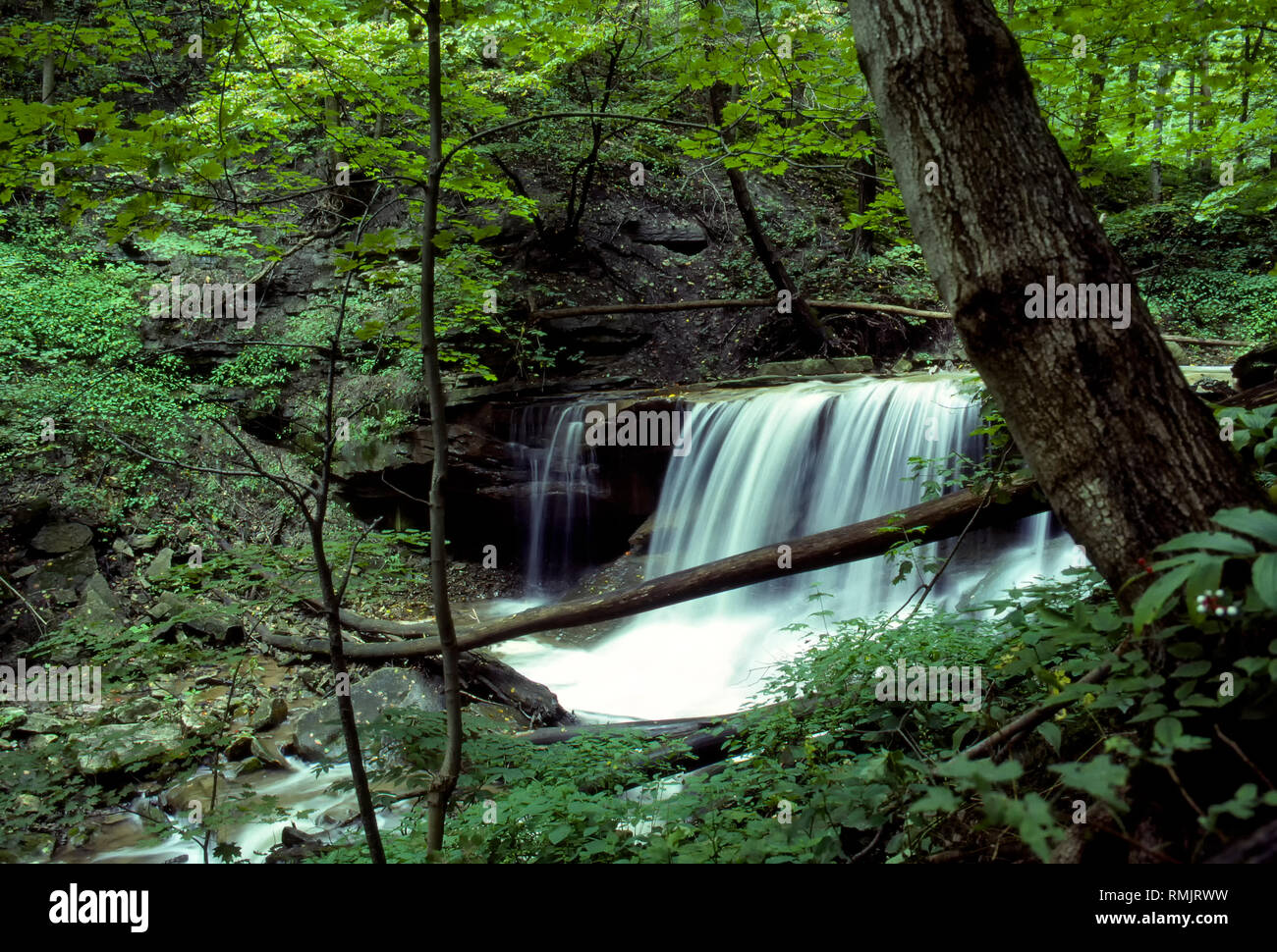 Flusso di selvatico e le cascate Scarpata del Niagara Hamilton Ontario Canada Foto Stock