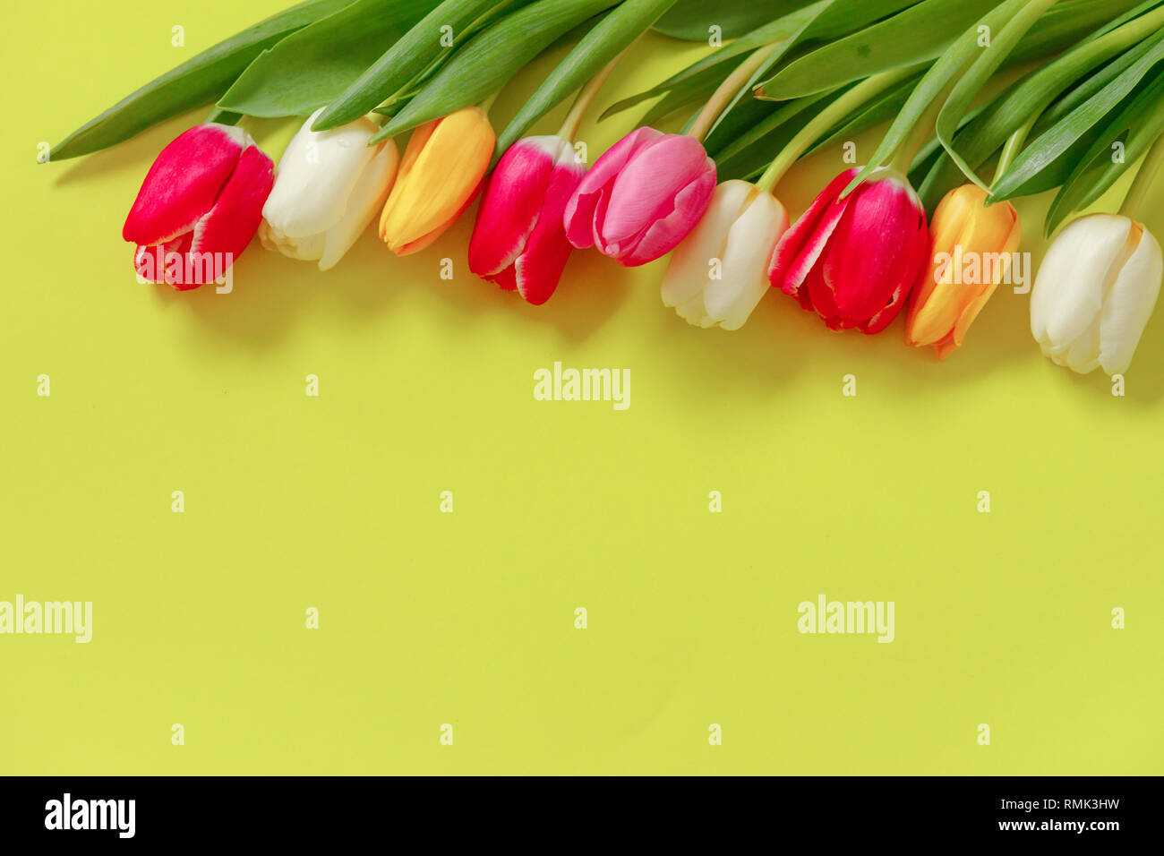 Tulipani colorati, bella tulip fiori composizione. Il giorno di San Valentino o la festa della mamma. International Womens giorno 8 marzo. Foto Stock