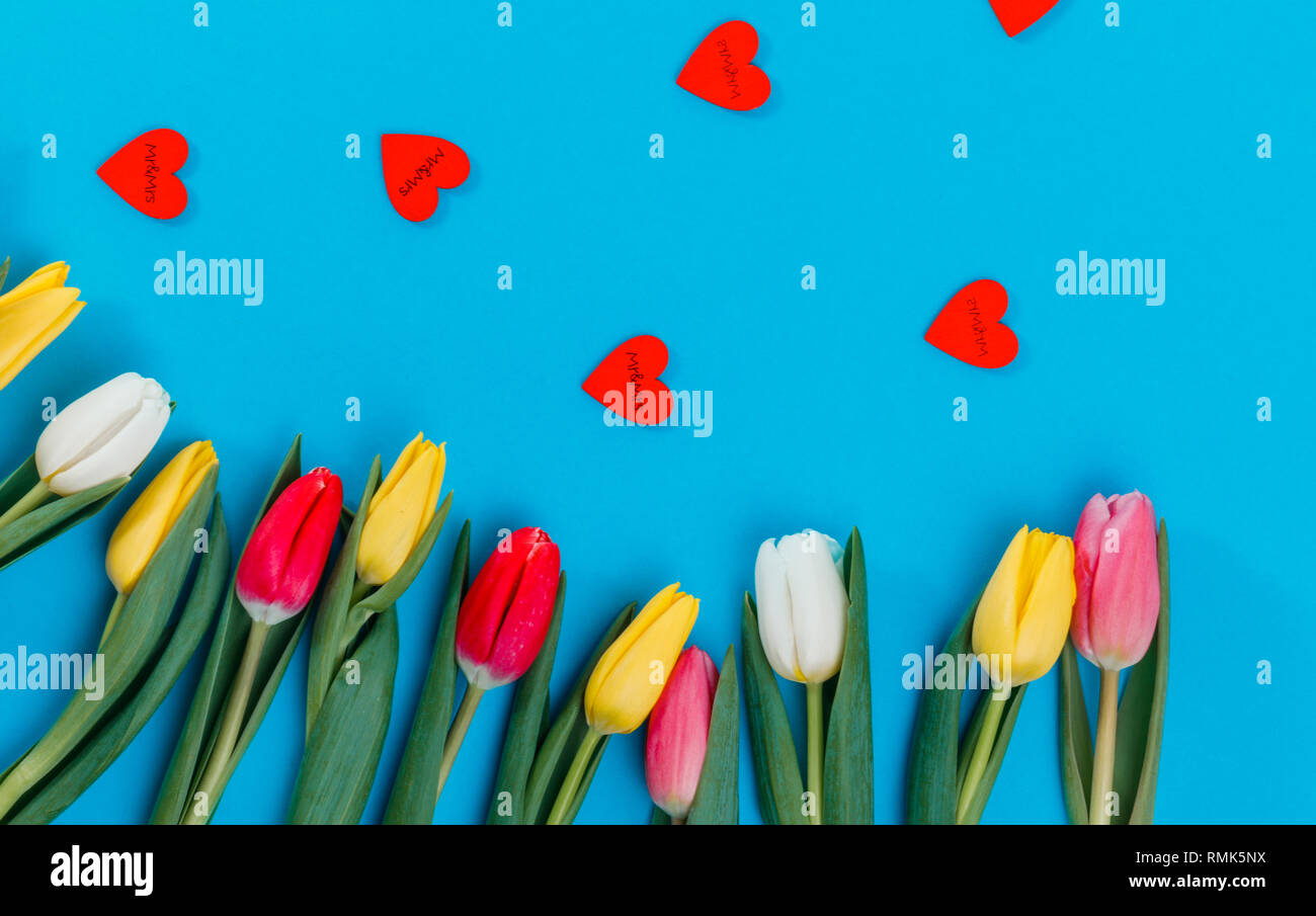 Il giorno di San Valentino del concetto. Il giorno di San Valentino tulipani. Messaggio di saluto festivo card per il giorno di San Valentino, Festa della Donna, Giornata della madre. Foto Stock