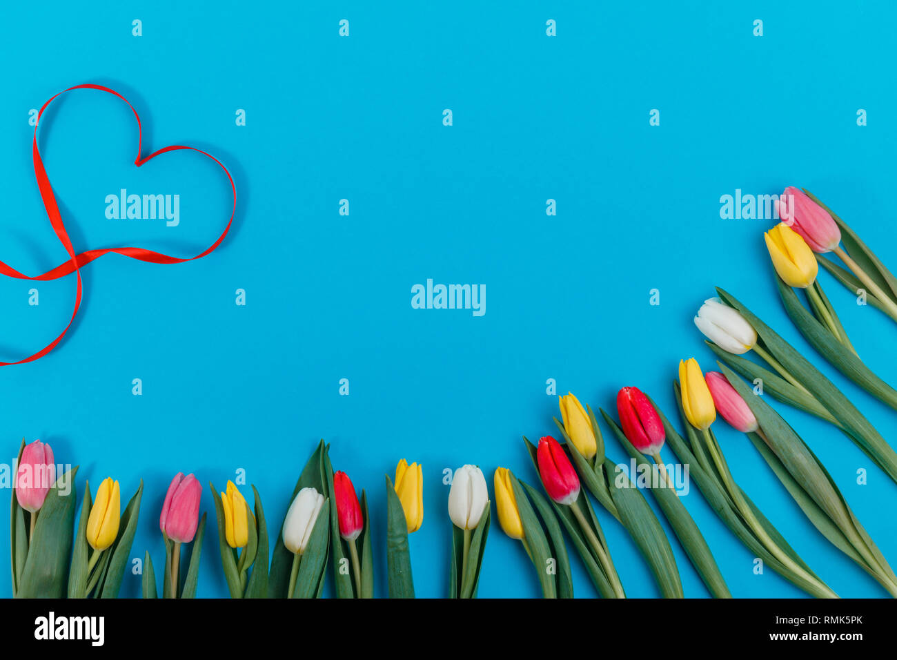Il giorno di San Valentino del concetto. Il giorno di San Valentino tulipani. Messaggio di saluto festivo card per il giorno di San Valentino, Festa della Donna, Giornata della madre. Foto Stock