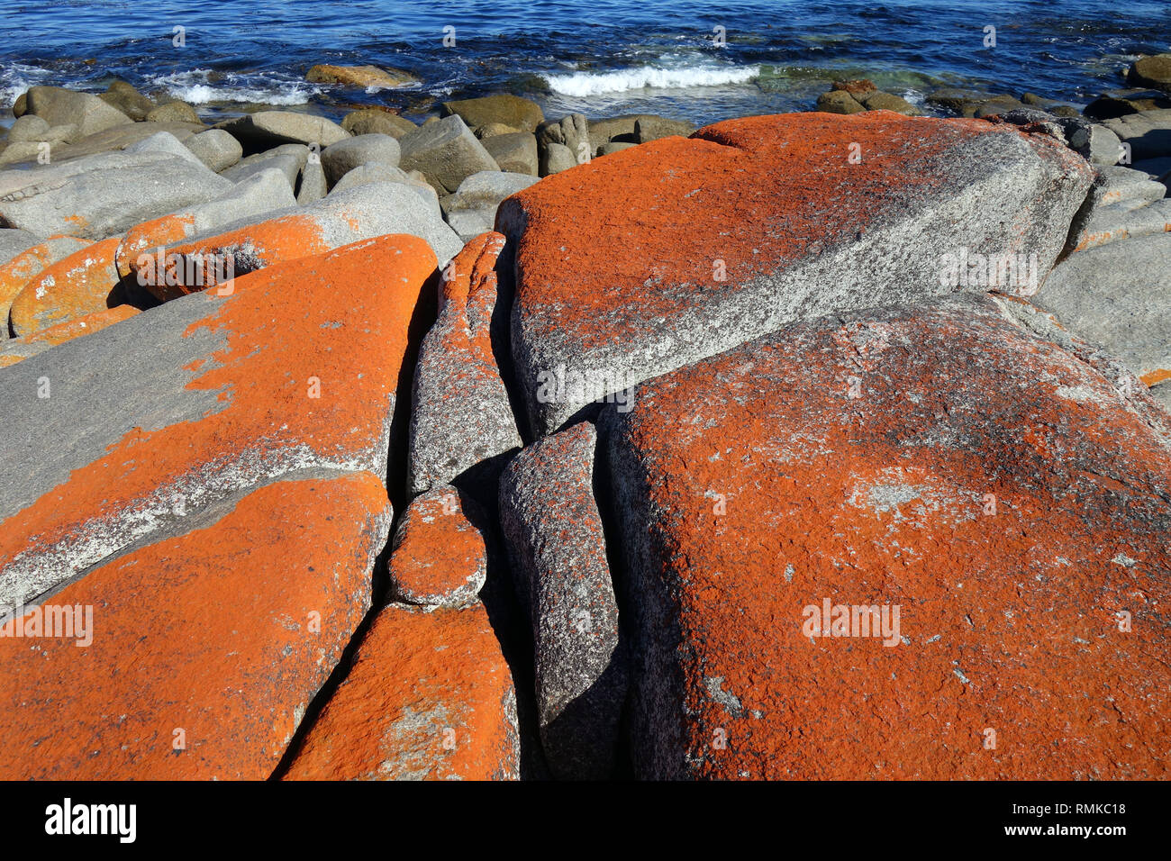 Lichene arancione su rocce costiere, Binalong Bay, Baia di incendi, Tasmania, Australia Foto Stock