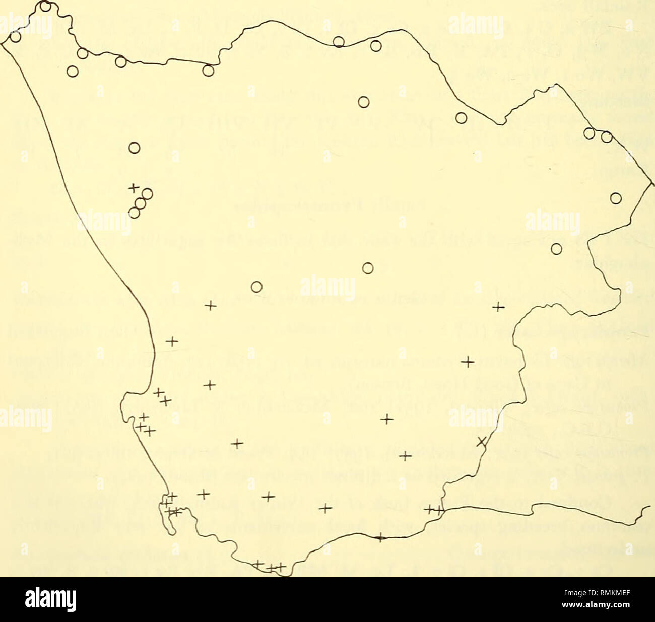 . Annali della South African Museum = Annale van die Suid-Afrikaanse museo. Storia naturale. 242 Annali della South African Museum incrociando I II III IV V VI VII VIII IX X XI XII W.R. I 21 168 91 59 42 6 Io famiglia Zosteropidae genere zosterops Vig. &Amp; Horsf. La disposizione delle specie in questo genere segue Moreau (1957). Zosterops palUdus pallidus Swains. Bianco pallido-eye ^osterops pallida Swainson, animali in serragli, 1838: 294. Sud Africa (tipo da 10 miglia a est di Prieska, concedere &AMP; M.-Praed, struzzo, 28, 1957: 174)- ^osterops pallida pallida; Vincent, 1952: 99; Macdonald, 1957: 152 Foto Stock