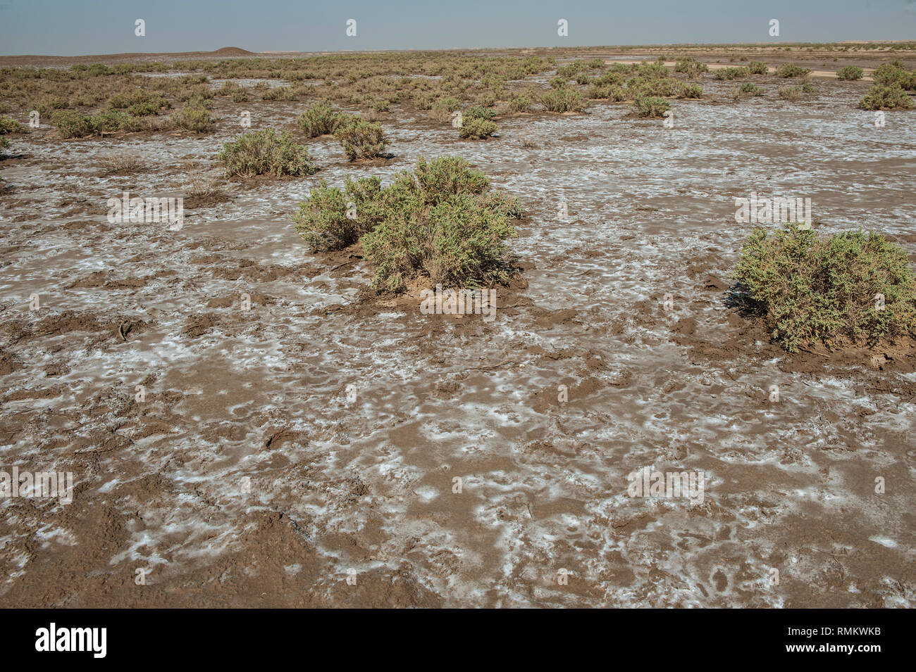 I depositi di sale nel deserto nei pressi di Bassora, in Iraq. Foto Stock