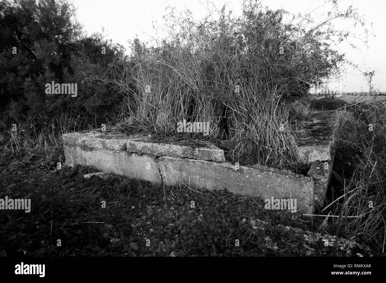 Tempo di guerra bunker di calcestruzzo Foto Stock