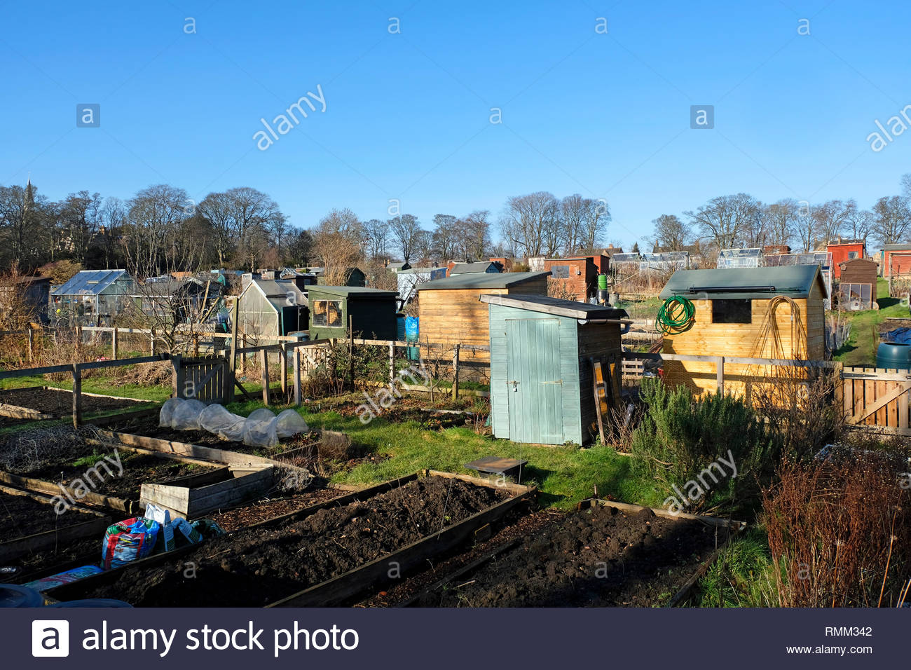 Assegnazioni comunali nel parco urbano Foto Stock