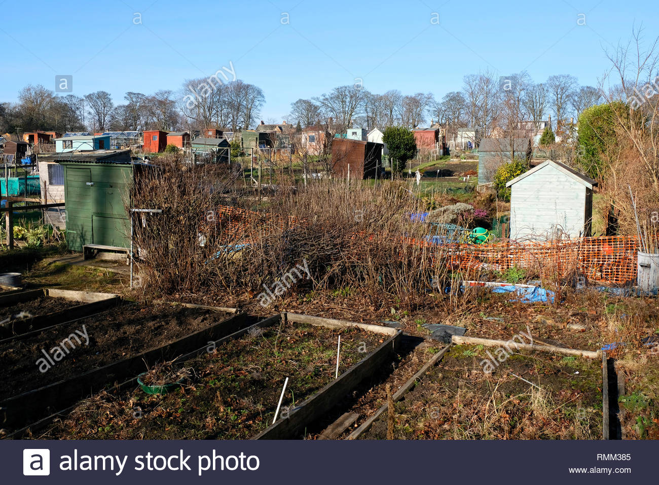 Assegnazioni comunali nel parco urbano Foto Stock