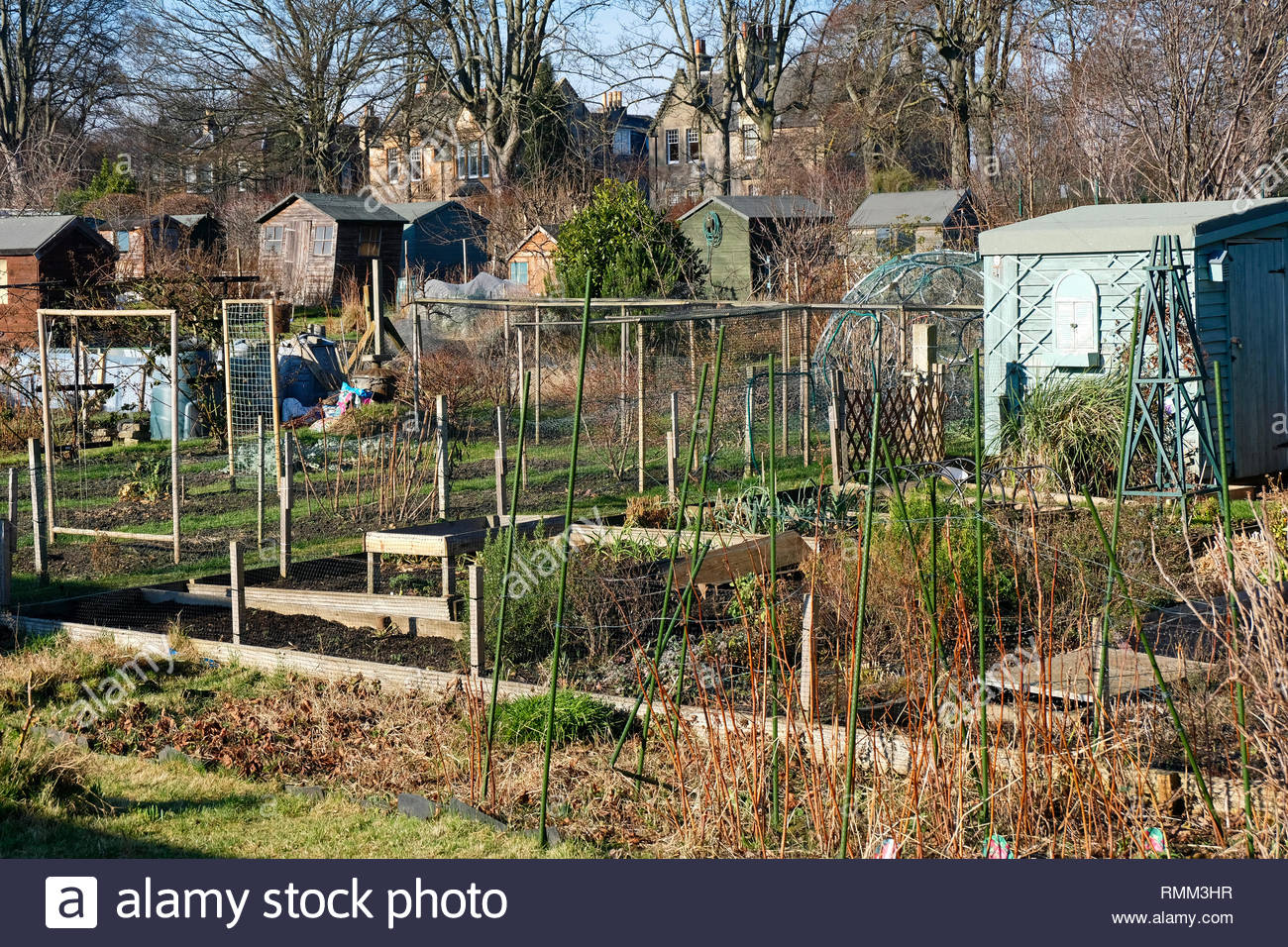 Assegnazioni comunali nel parco urbano Foto Stock