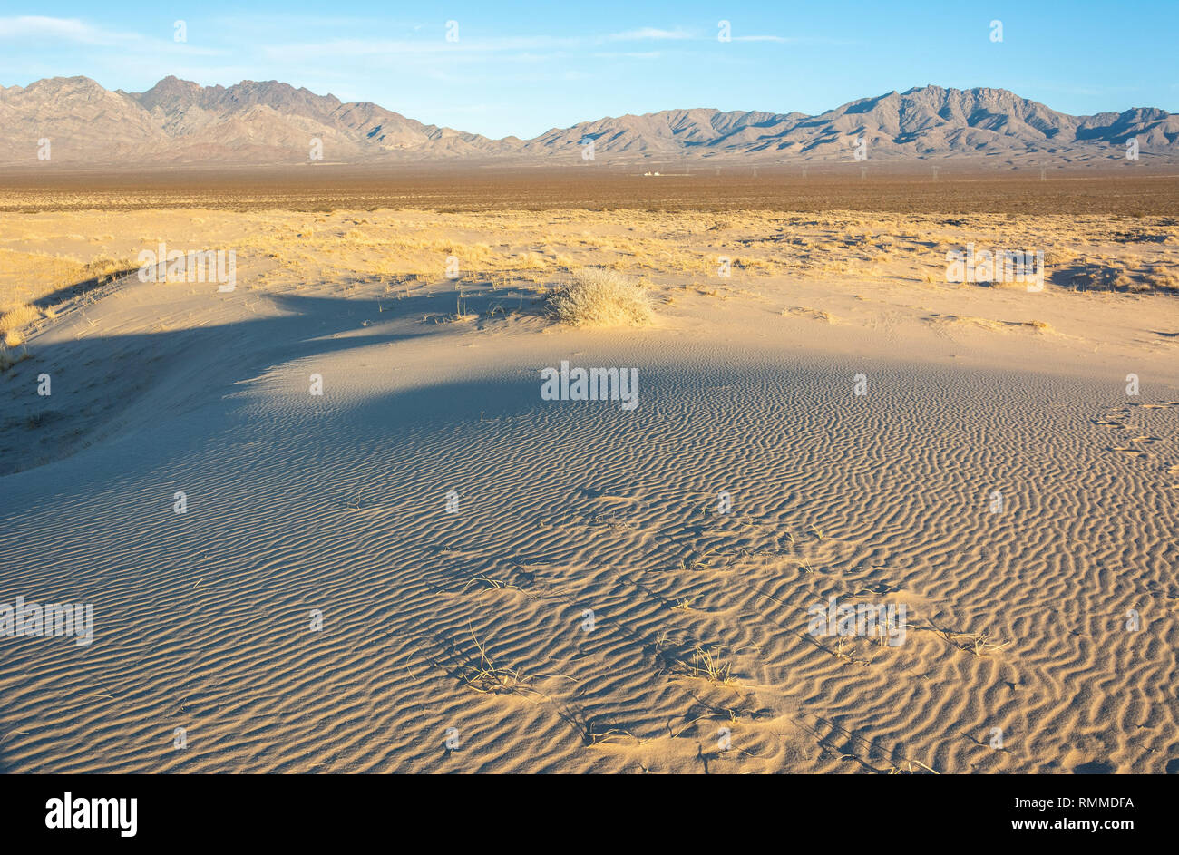 Le dune di sabbia nel deserto di Mojave in California. Foto Stock
