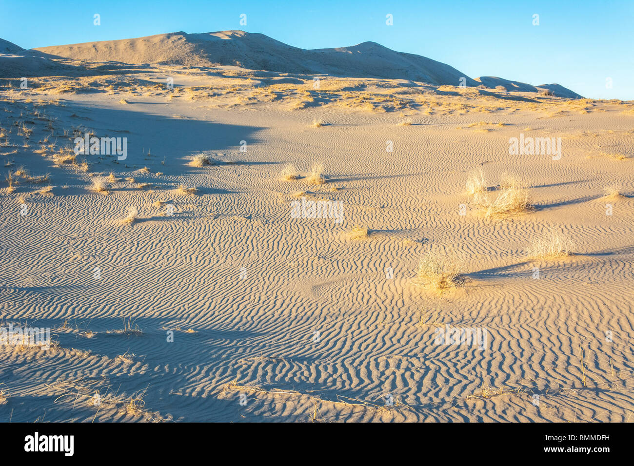 Le dune di sabbia nel deserto di Mojave in California. Foto Stock