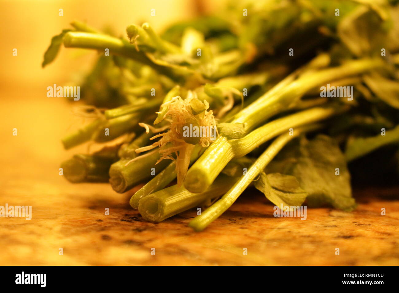 Il crescione fascio sulla superficie di cottura Foto Stock